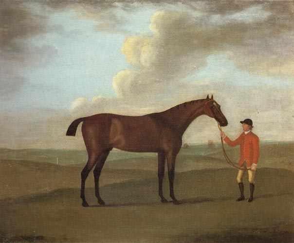 The Racehorse 